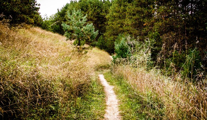 Glacial Hills Natural Pathway